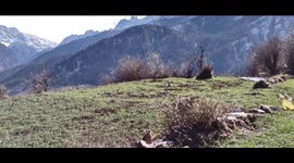 This was shot during my trek to Kuari Pass in India. Its an amazing place
