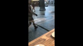 Friends spot hilarious street hazard in Oslo and capture viral footage