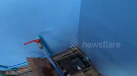 Trapped kittens rescued from inside gutter drain outside family home