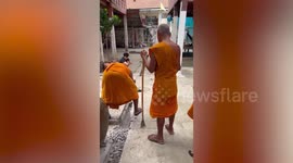 Kind monks smash temple grounds to free dog trapped under sewer