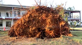 Trees uprooted, vehicles upturned and homes destroyed: Video shows catastrophic tornado aftermath in Little Rock, Arkansas