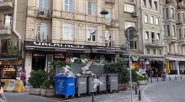 Seagulls looking for food in dumpsters in Beyoglu district in Istanbul, Turkey
