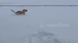 US: Slow-Moving Cold Front Brings Widespread Heavy Snow To Utah
