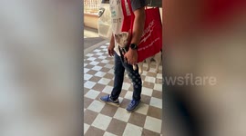 Clever customised shopping bag lets dog owner carry pet pug