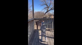 'That's so cute!' - Kids love feeding towering giraffe
