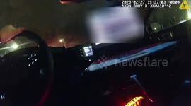 Suspect Stuck In Sticker Bushes After Jumping In To Escape Police Pursuit In Parkland, WA, USA