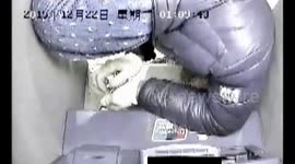 Thief allegedly tells police: “Don't you see I am robbing”