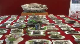 108 dishes of Chinese cuisine made by Dushan jade