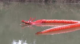 Elderly farmer hand-makes dragon that can swim and dive