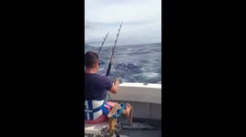 Sport fishing in Funchal Madeira and catching a huge 70lb Wahoo