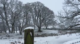 Snow blankets Lake District