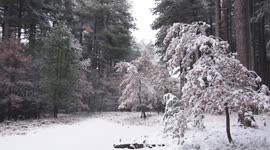 Snow falls in Sicily