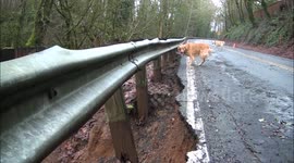 Heavy rain causes US road to cave in