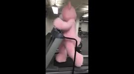 Woman wears giant pink bear suit to the gym