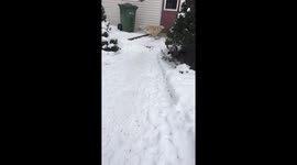 Bailey Really Wants In