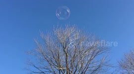 Bubble freezes and bursts in majestic slow motion