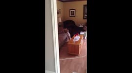 Puppy Climbs Up A Couch