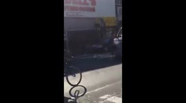 Runaway cow in New York after escaping slaughterhouse
