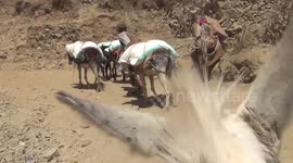Yemen Transport medicines and food because of the war