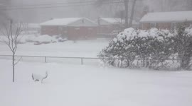 Aftermath of 'snowzilla' blizzard in Maryland