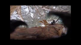 How to get a squirrel to steal your camera