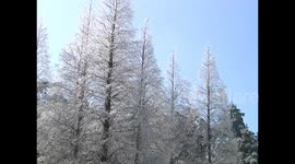 Stunning winter scenes in China