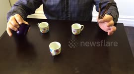 Awesome brain-teaser - building a bridge between cups