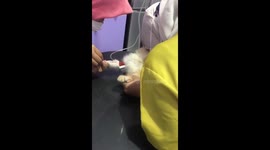 Heartbreaking moment: kitten cries during injection, recovers to health in Bogor, Indonesia