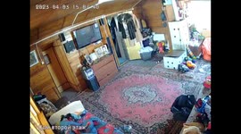 Powerful earthquake strikes Kamchatka, Russia: home security camera captures chaos
