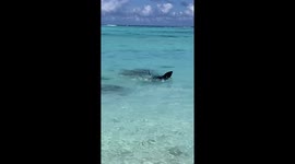 Mum and two kids playing in the South Pacific seas