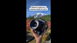 Photos I took on a medium format film camera made in 1970