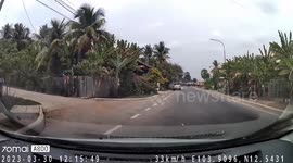 Quick-thinking driver brakes as child dashes into street in Cambodia