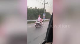 Wind blows through puppy's fur as he rides on open road with owner