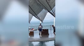 Volunteer accidentally slides into water at sea lion show