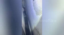 Animal rescuers poke hole into resident's kitchen to save trapped kittens
