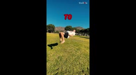 'That must have hurt so bad!' - Man faces an epic backflip fail