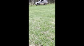 VIDEO: Thugs drive towards animal protestors storming deer hunt. Part 1/4
