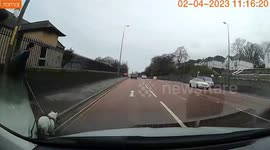 Close Call: Heart Stopping Encounter as Dog Nearly Gets Run Over By Oncoming Car