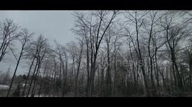 Intense Ice Storm Impacts the Ottawa Region