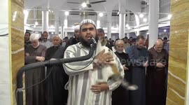 Cat joins nightly Ramadan call to prayer in Algeria