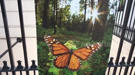 Mexico Naturally photography exhibition features countrys biodiversity outside Mexican Ambassador residence in London