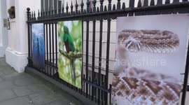 Mexico Naturally photography exhibition celebrates Mexican biodiversity outside Ambassador residence in London