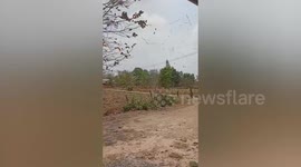 Dust devil tornado picks up twigs and leaves as it whirls across yard