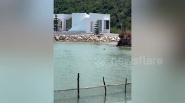 Villa owner finds barking deer swimming in his pool