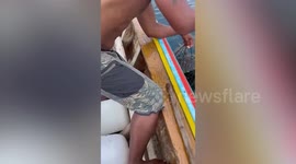 Fisherman saves young sea turtle stuck in floating trash