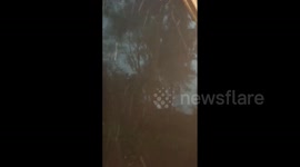 South Africa: Severe Thunderstorm Causes Floods, Damage In Empangeni