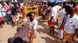 Hundreds of Hindu devotees dangle from great heights with their backs pierced