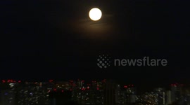 'Super Pink Moon' lights up skies over St. Petersburg