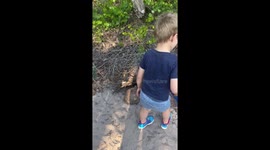 Toddler encourages Tortoise to go home