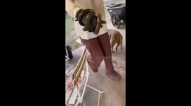 Wife teases husband after he was too scared to remove snake from their US home